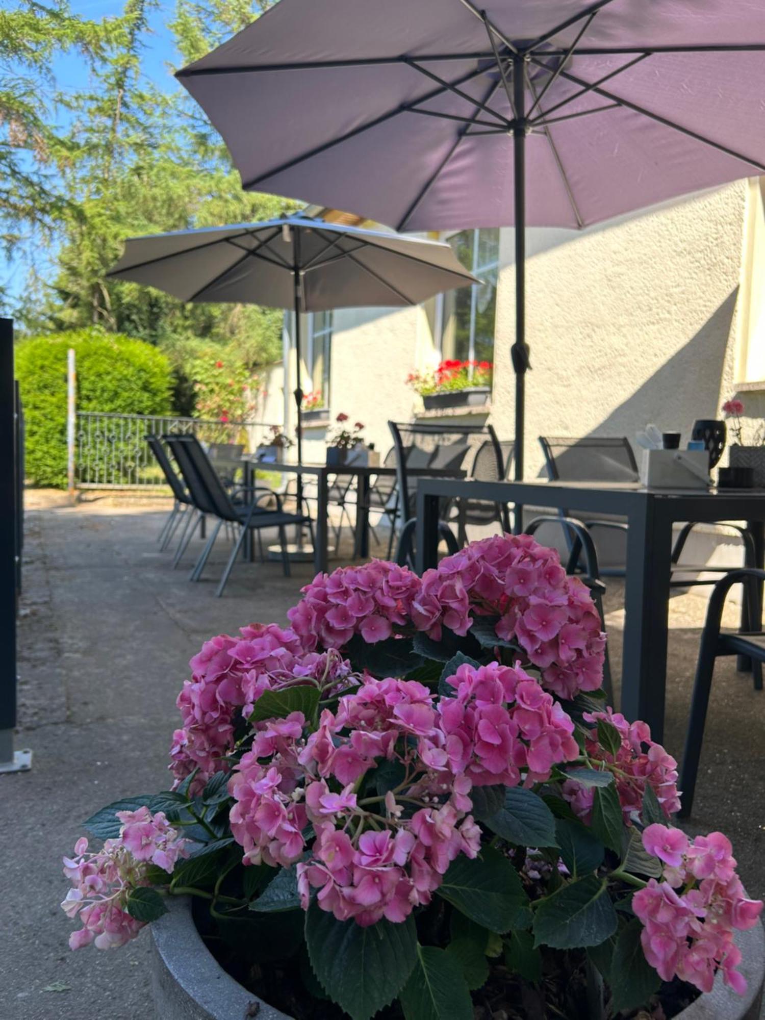 Waldperle Hotel Jarmen ภายนอก รูปภาพ