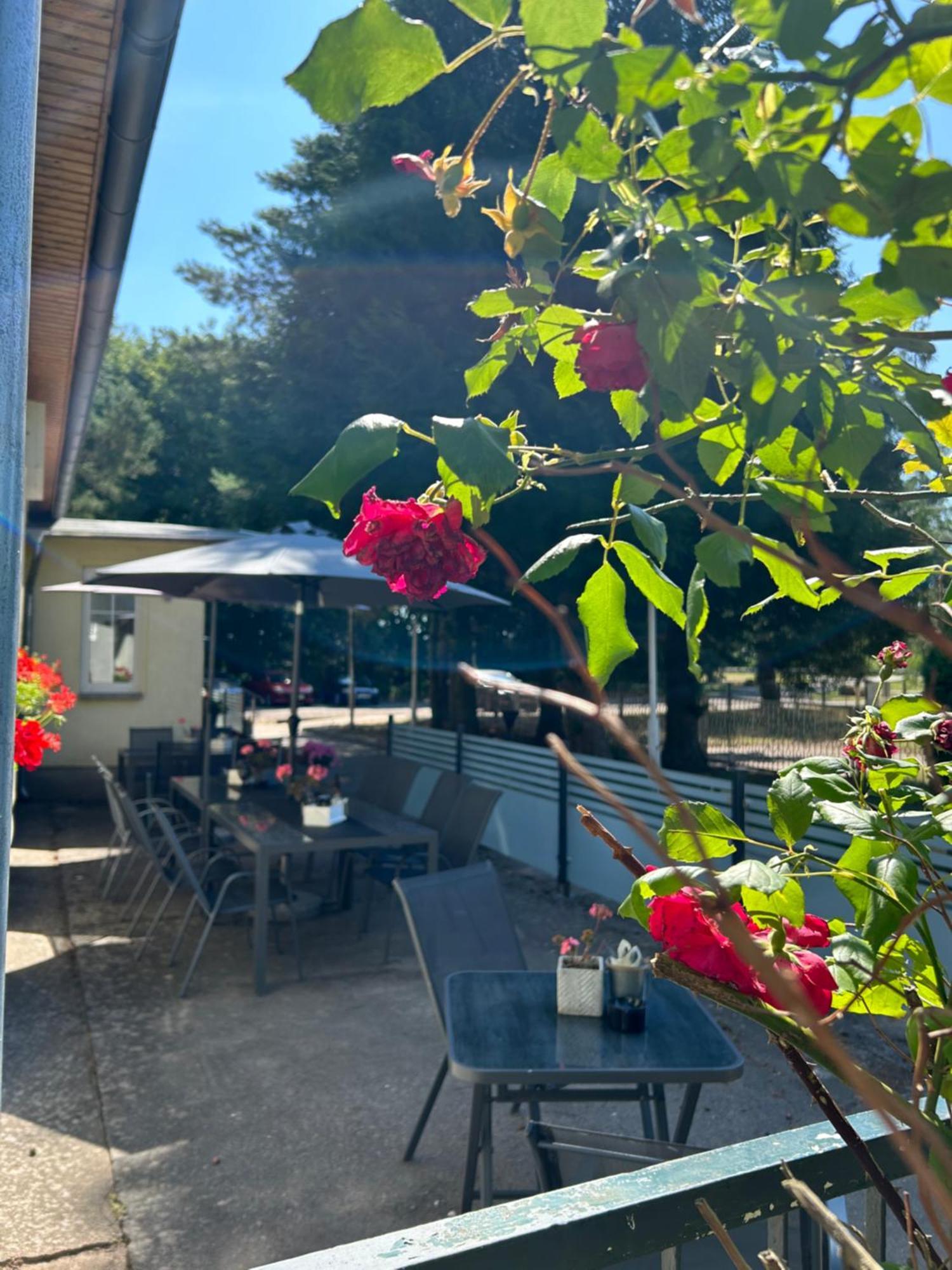 Waldperle Hotel Jarmen ภายนอก รูปภาพ
